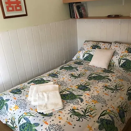 Helena 3*